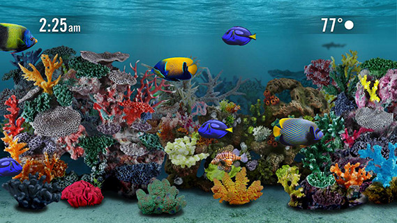 free download fish aquarium screensaver